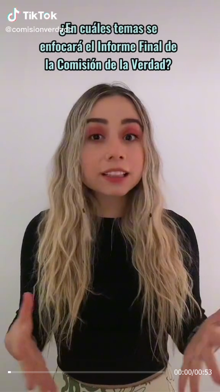 tiktoktemas.jpeg