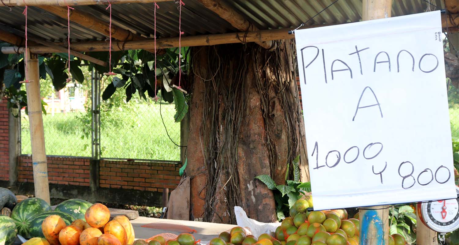 Arauca: conflicto, biodiversidad y petr&oacute;leo