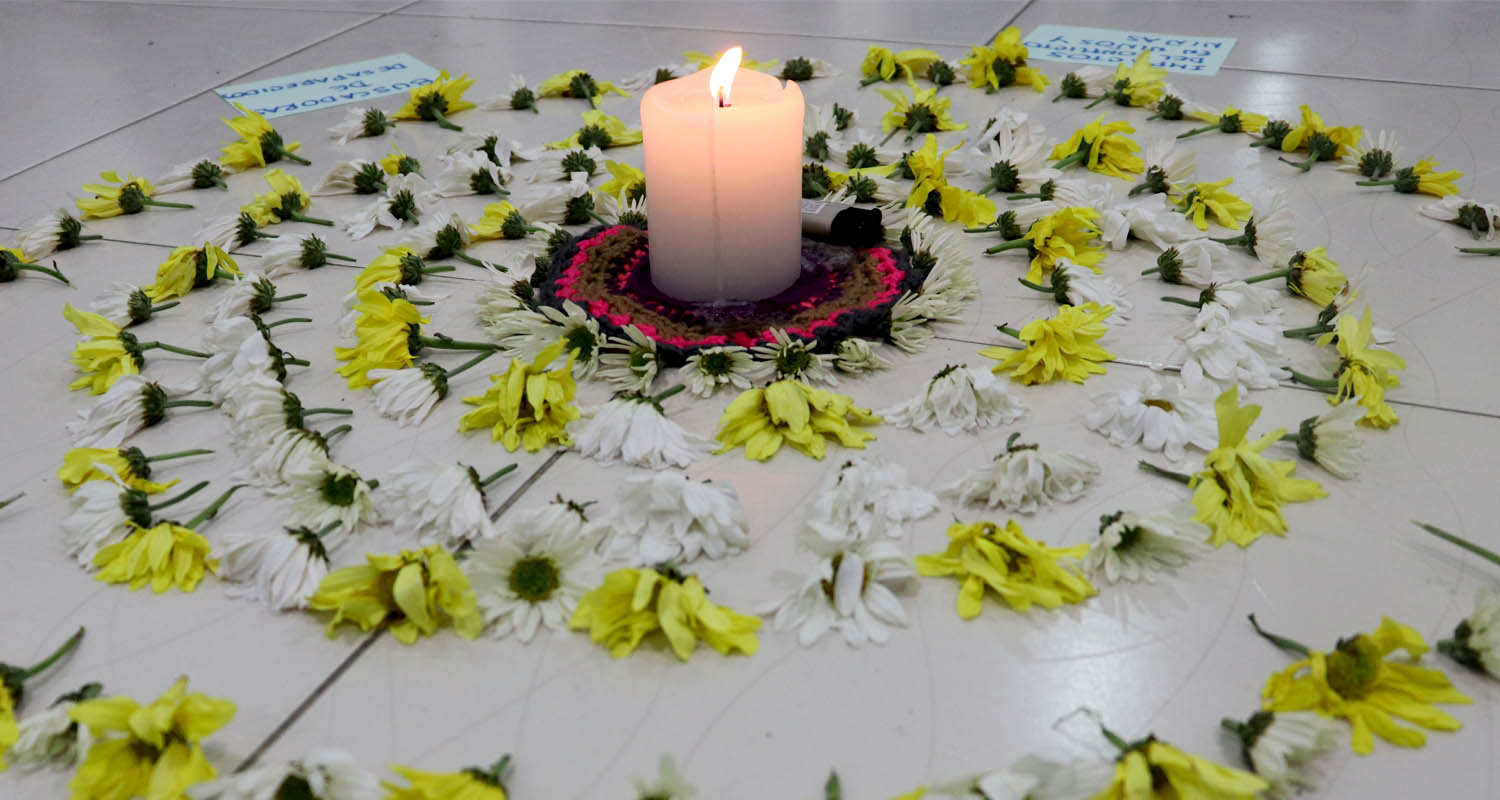 Arauca: conflicto, biodiversidad y petr&oacute;leo