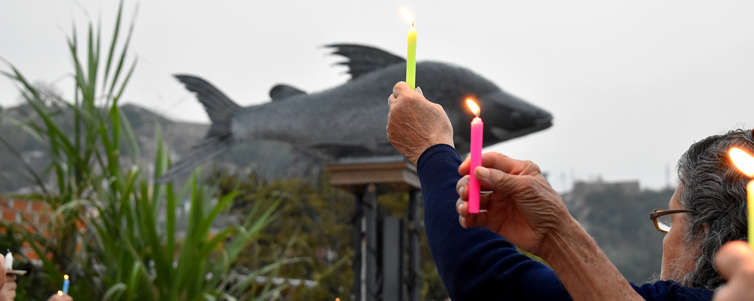 El bocachico: un testigo en silencio