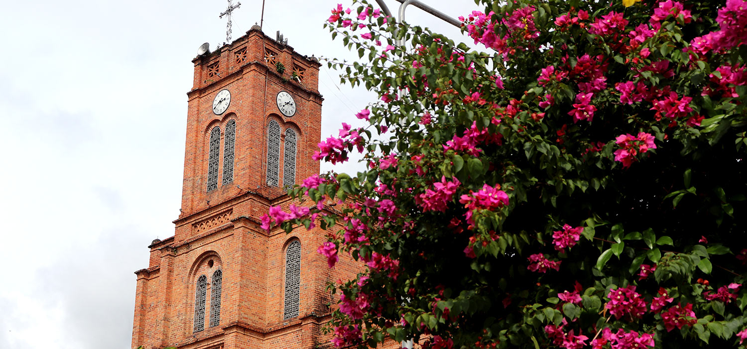 San Vicente de Chucur&iacute; renace a trav&eacute;s de la agricultura