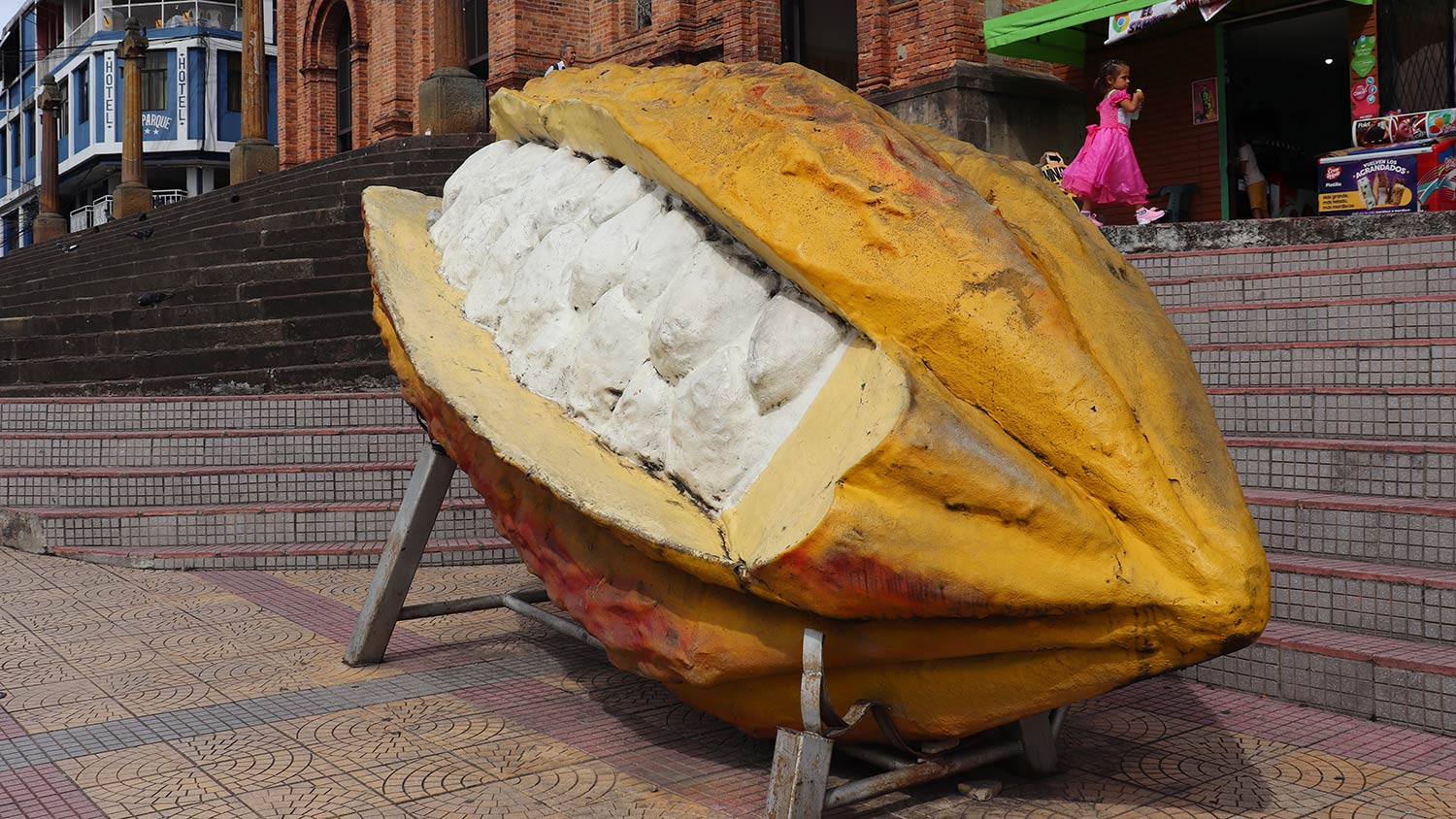 San Vicente de Chucur&iacute; renace a trav&eacute;s de la agricultura