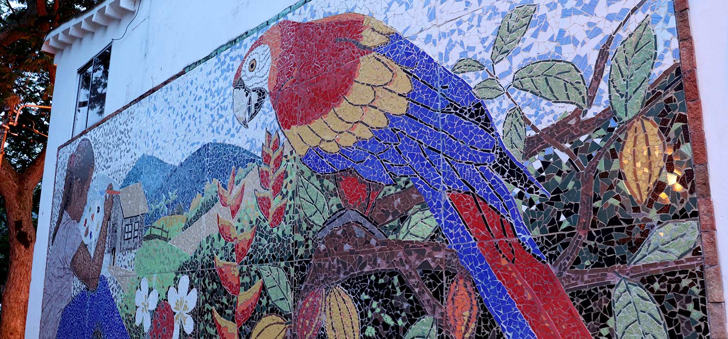 San Vicente de Chucur&iacute; renace a trav&eacute;s de la agricultura