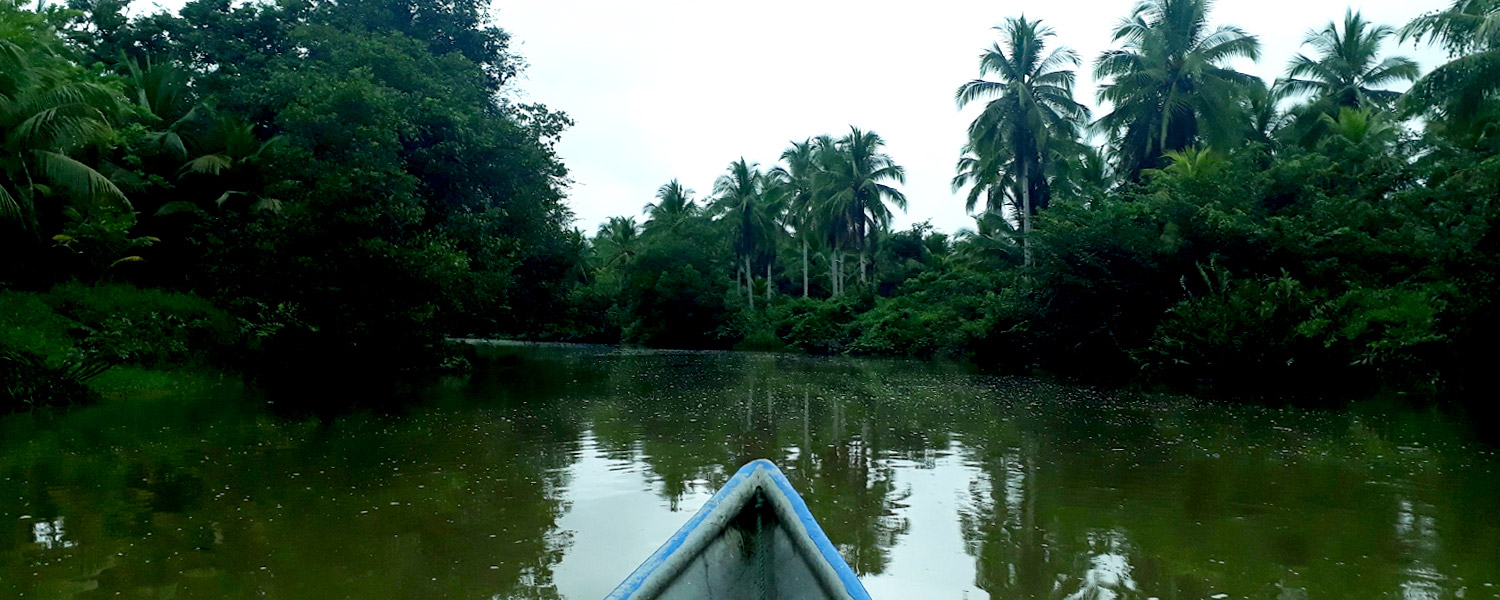 El secuestro del estero