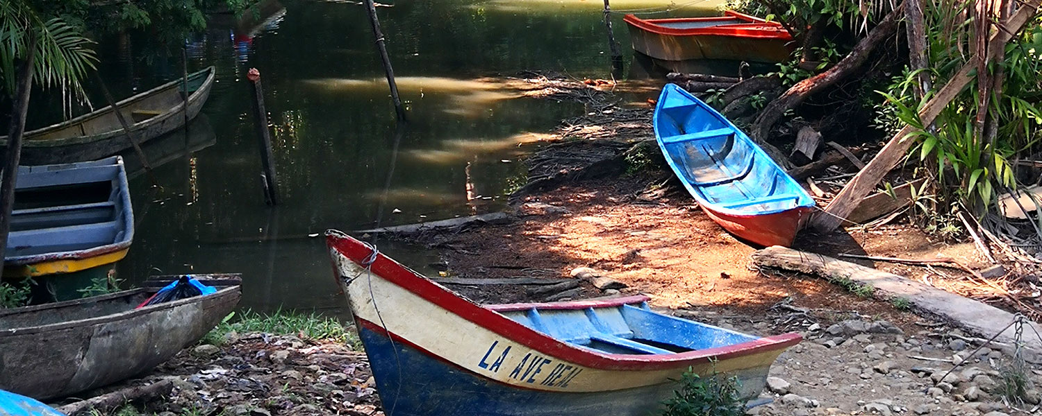 El secuestro del estero