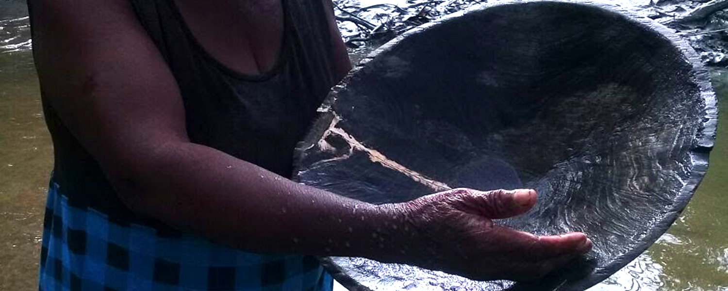 El secuestro del estero