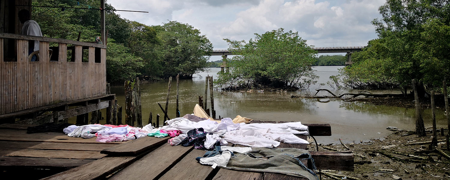 El secuestro del estero