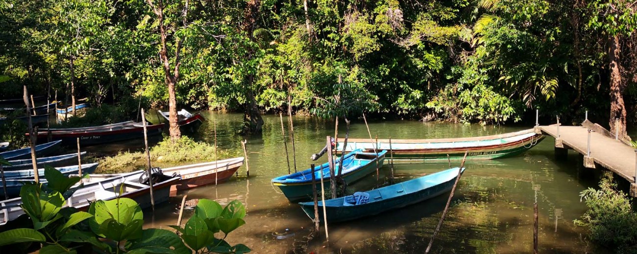 El secuestro del estero