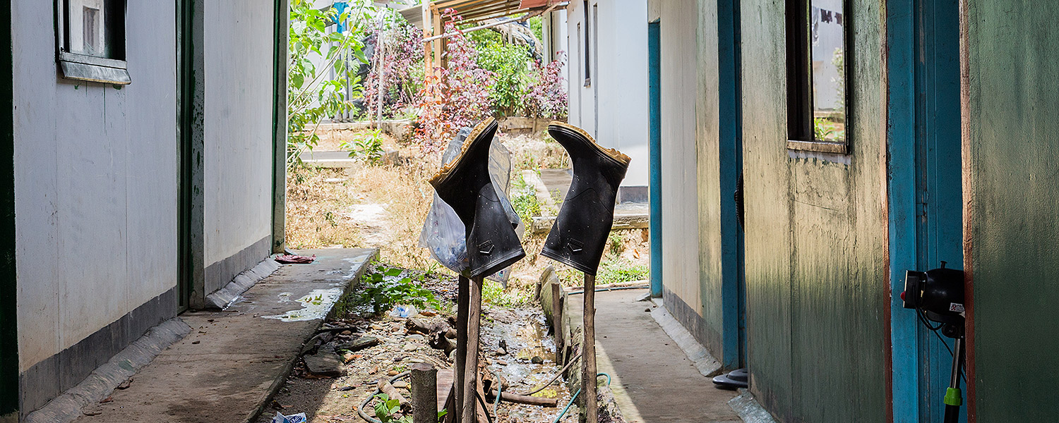 El compromiso con la paz