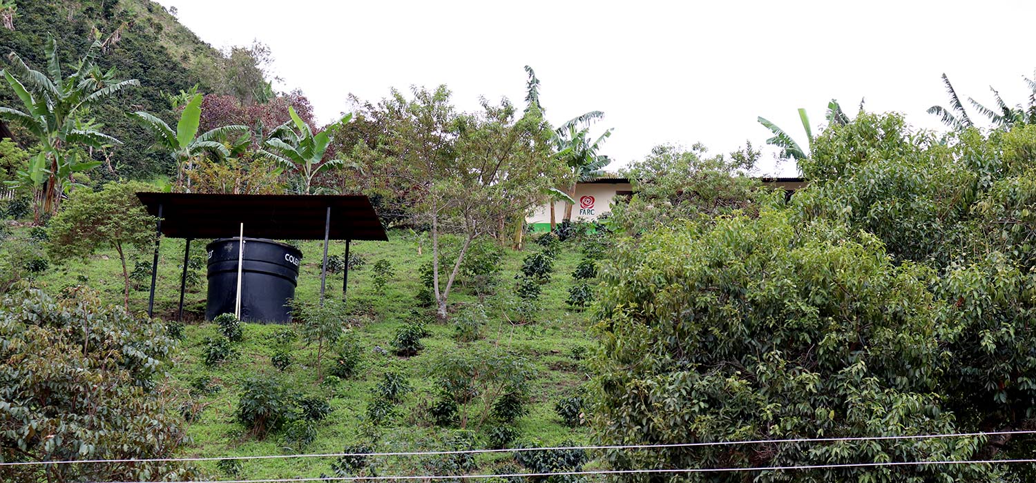 La vida en el ETCR El Oso