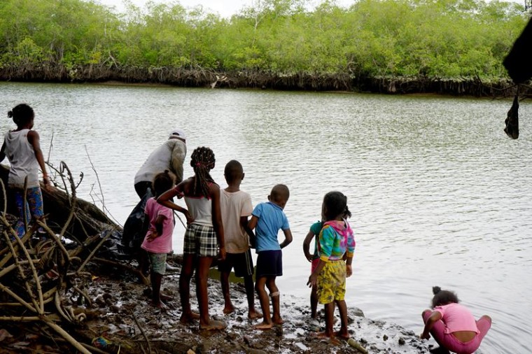 Sanquianga, donde las semillas del litoral son semillas de esperanza
