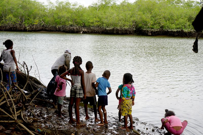 Sanquianga, donde las semillas del litoral son semillas de esperanza
