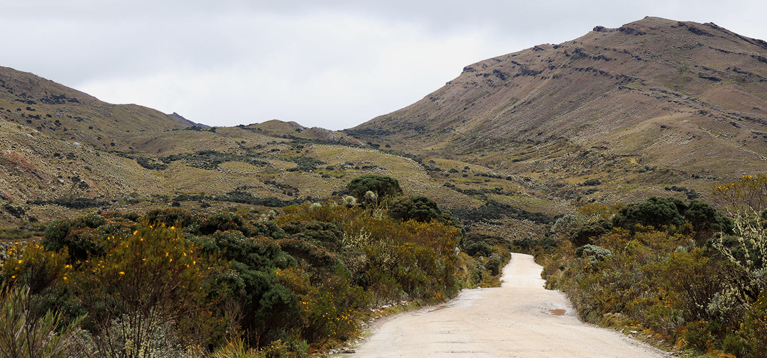 Sumapaz: la eterna disputa por el p&aacute;ramo