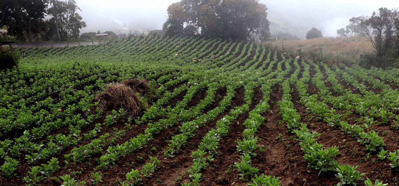 Sumapaz: la eterna disputa por el p&aacute;ramo