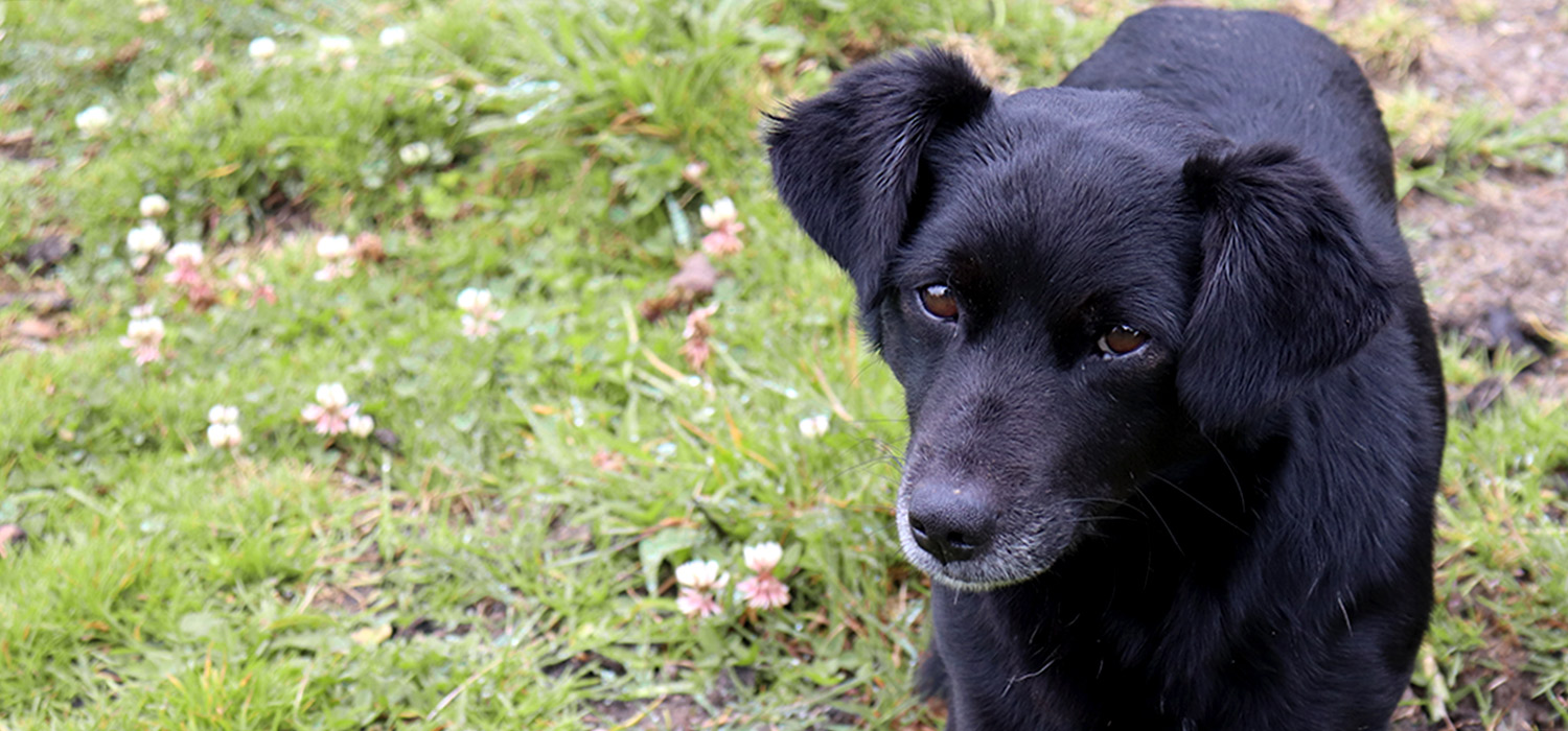 Sumapaz: la eterna disputa por el p&aacute;ramo