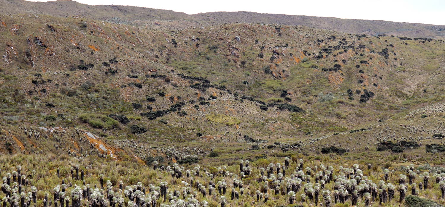 Sumapaz: la eterna disputa por el p&aacute;ramo