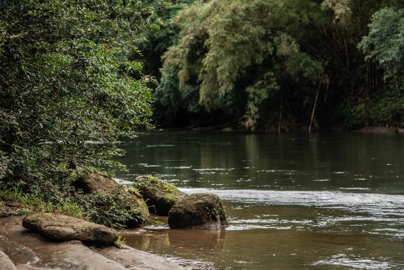 Mujeres afrocolombianas del Atrato se reunieron para tejer la verdad