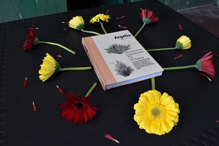 Los &lsquo;Cuadernos de la verdad&rsquo; 