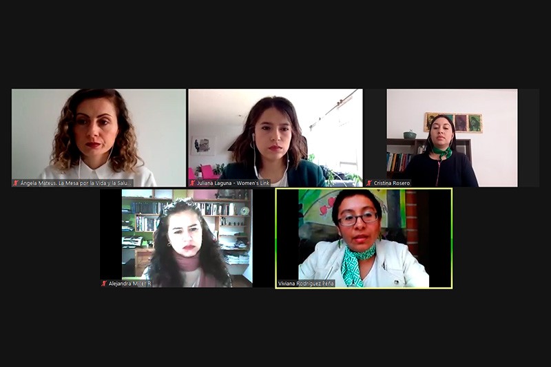 Organizaciones defensoras de los derechos reproductivos presentaron informes a la Comisi&oacute;n