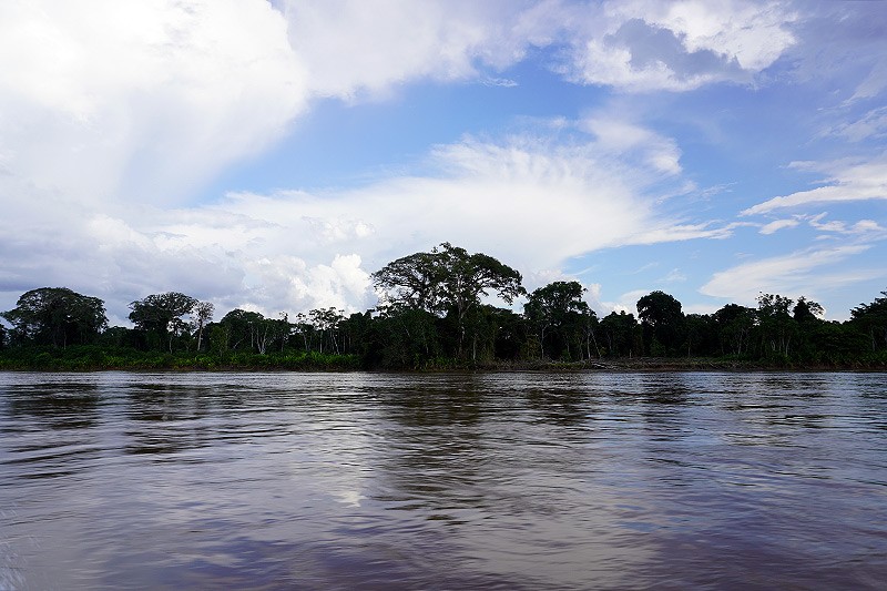 Las verdades de la selva amazónica 