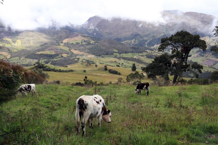 Sumapaz: la eterna disputa por el p&aacute;ramo