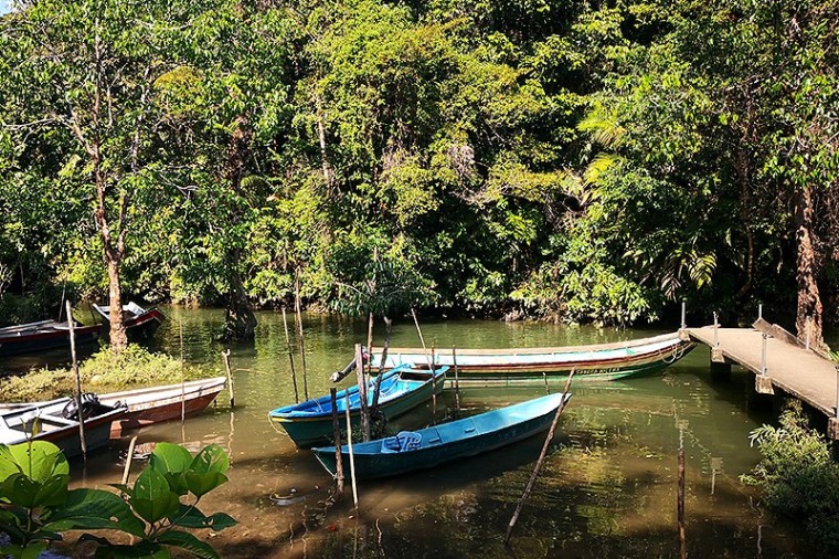El secuestro del estero