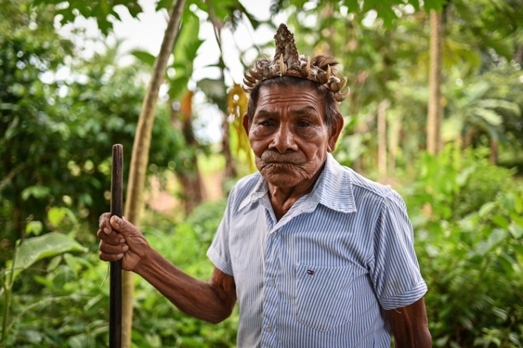 &ldquo;No hay salud ni m&eacute;dicos tradicionales si nos despojan de nuestros territorios&rdquo;