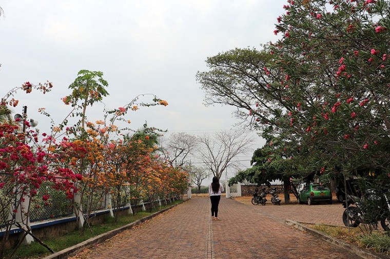&ldquo;Esa fue la vida que nos toc&oacute;, una guerra sin sentido&rdquo;