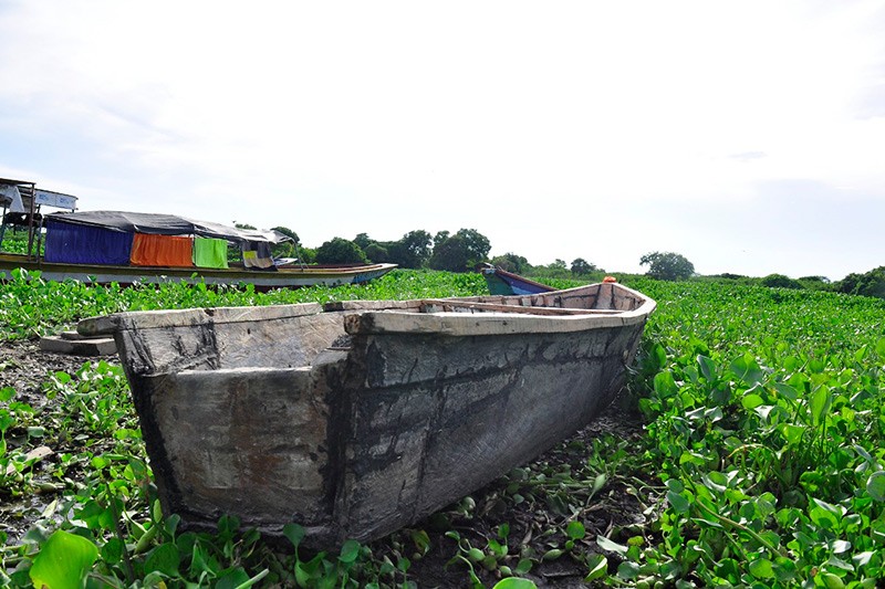 Foto cortes&igrave;a de Joaqu&iacute;n Ramirez