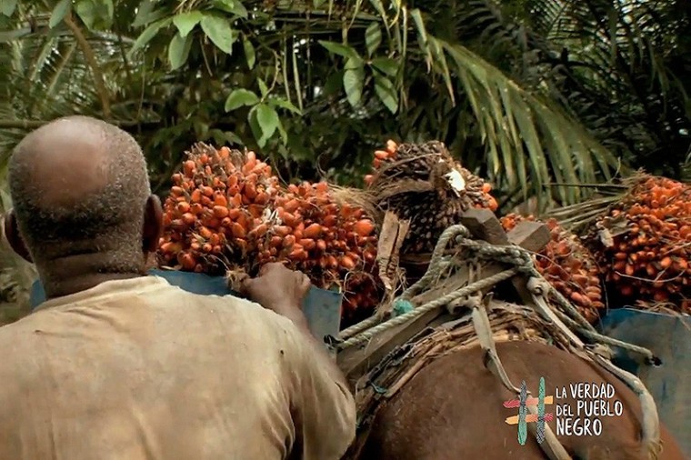 La propiedad colectiva del pueblo negro cumple 27 a&ntilde;os