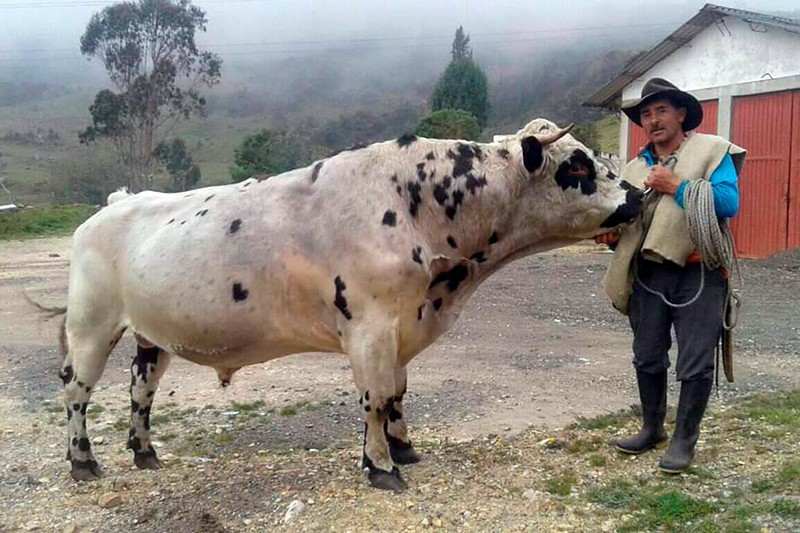 Sumapaz, una regi&oacute;n que resiste entre la b&uacute;squeda de la paz y la estigmatizaci&oacute;n 