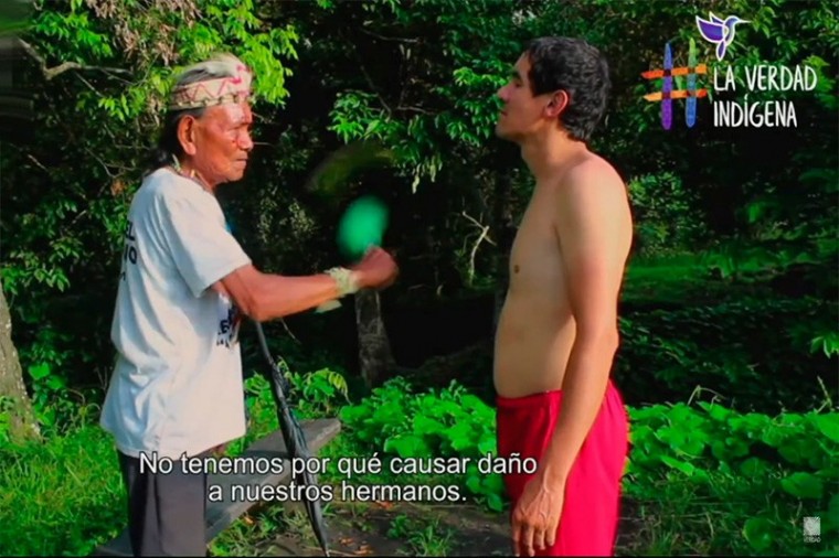 Voces de los pueblos indígenas: impactos del conflicto armado y contribuciones a la sanación y protección de la Amazonía