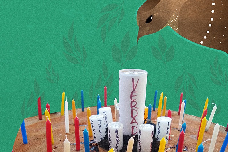 Palestina, Huila, escuchar&aacute; el reconocimiento de responsables de las antiguas FARC-EP