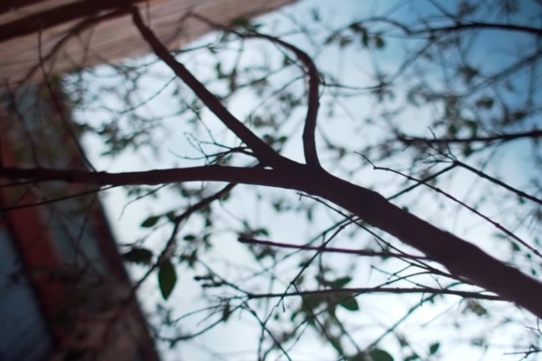 La peste del insomnio