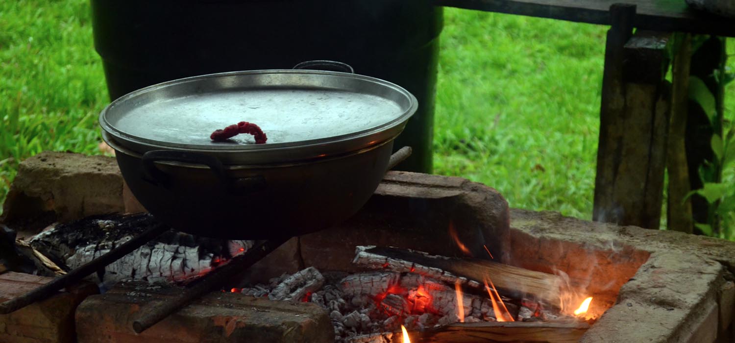 Agua Negra, un resguardo cercado por las minas