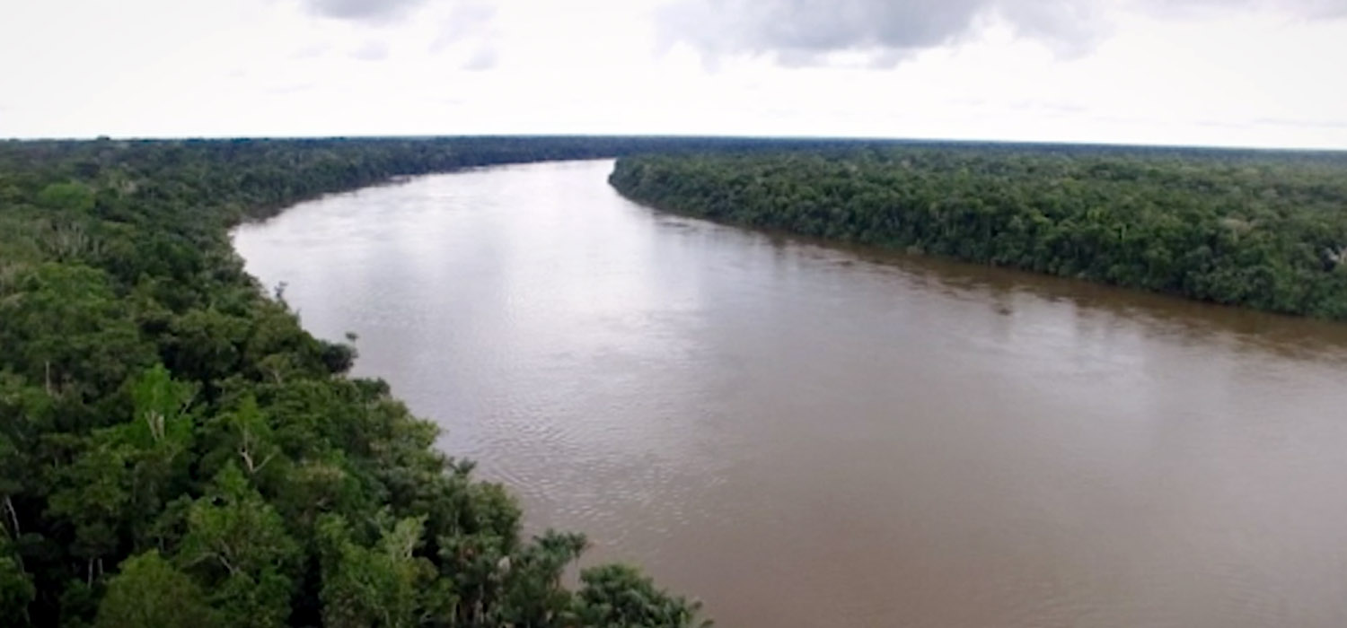 Las verdades de la selva amaz&oacute;nica 