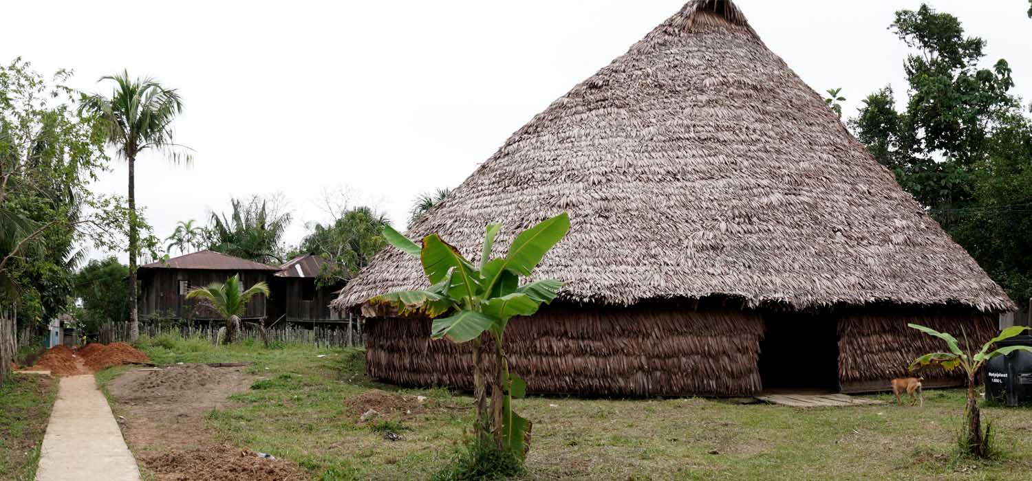 Las verdades de la selva amaz&oacute;nica 