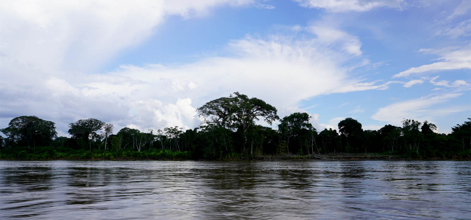 Las verdades de la selva amazónica 