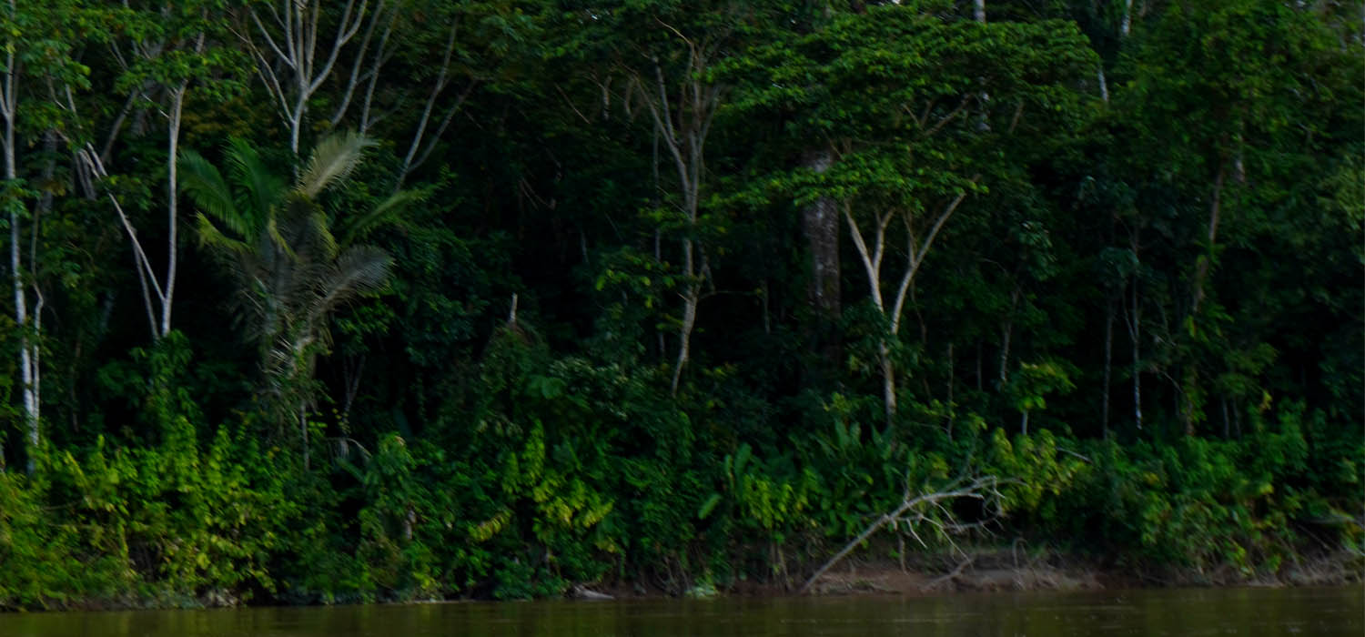 Las verdades de la selva amaz&oacute;nica 