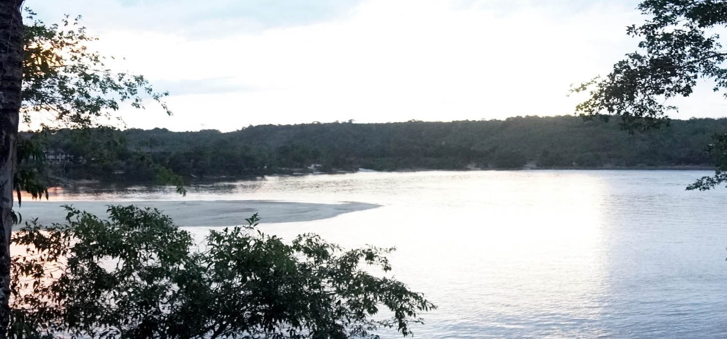 Las verdades de la selva amaz&oacute;nica 