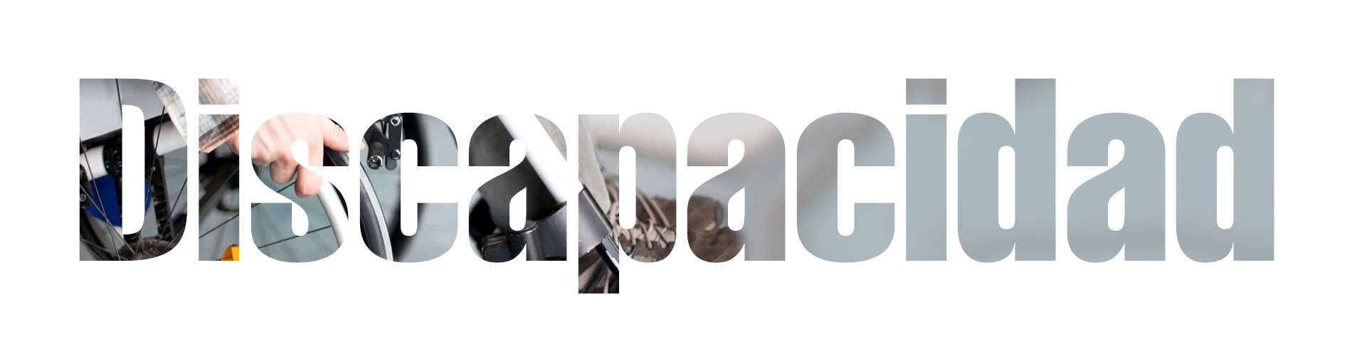 Enfoque Discapacidad