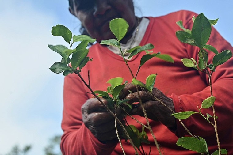 &ldquo;En la guerra olvidamos vivir y pensar la vida como carijonas y ese da&ntilde;o es irreparable&rdquo;