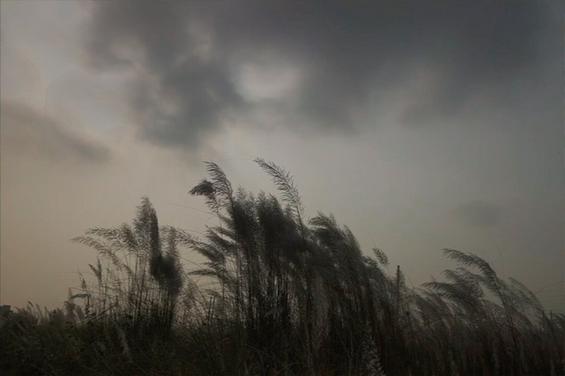 Di&aacute;logo entre distintos para no repetir el conflicto armado