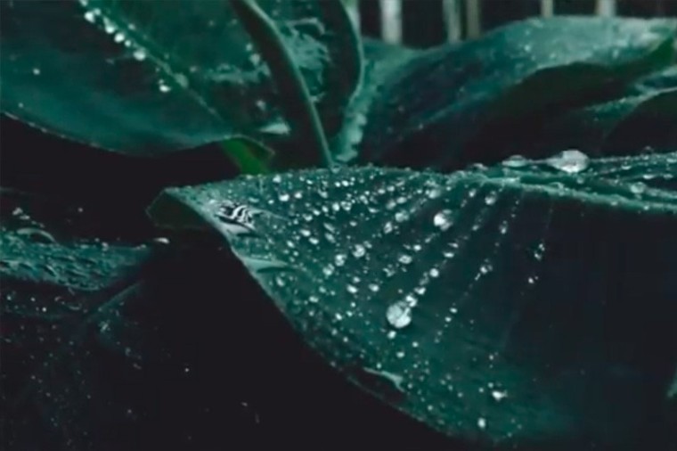 Di&aacute;logo social para no continuar ni repetir el conflicto en Catatumbo