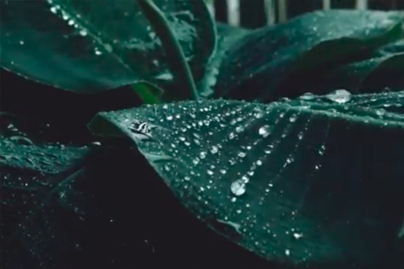 Di&aacute;logo social para no continuar ni repetir el conflicto en Catatumbo