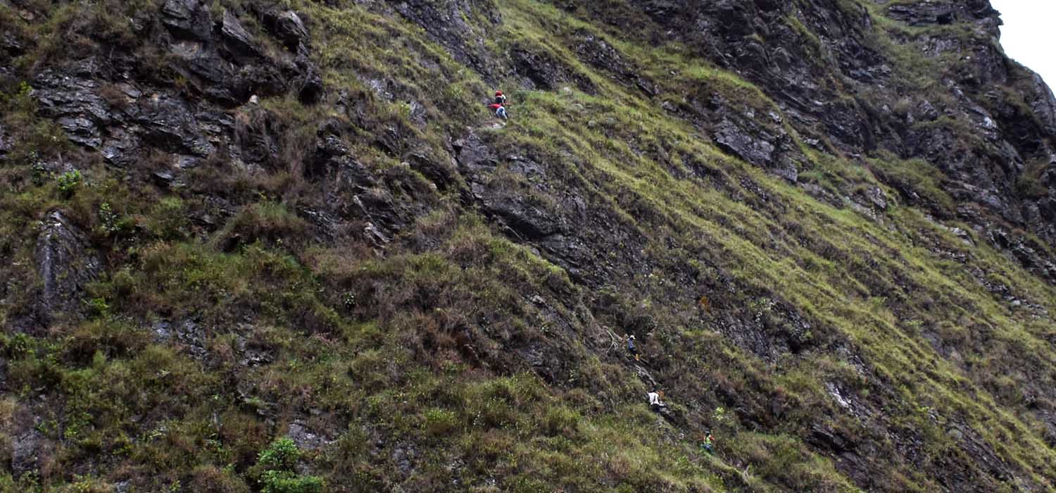 La verdad para proteger a la madre tierra