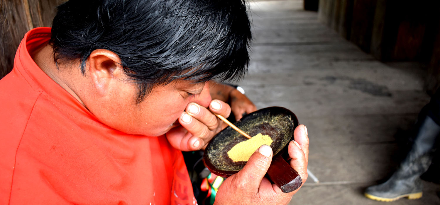 La verdad para proteger a la madre tierra