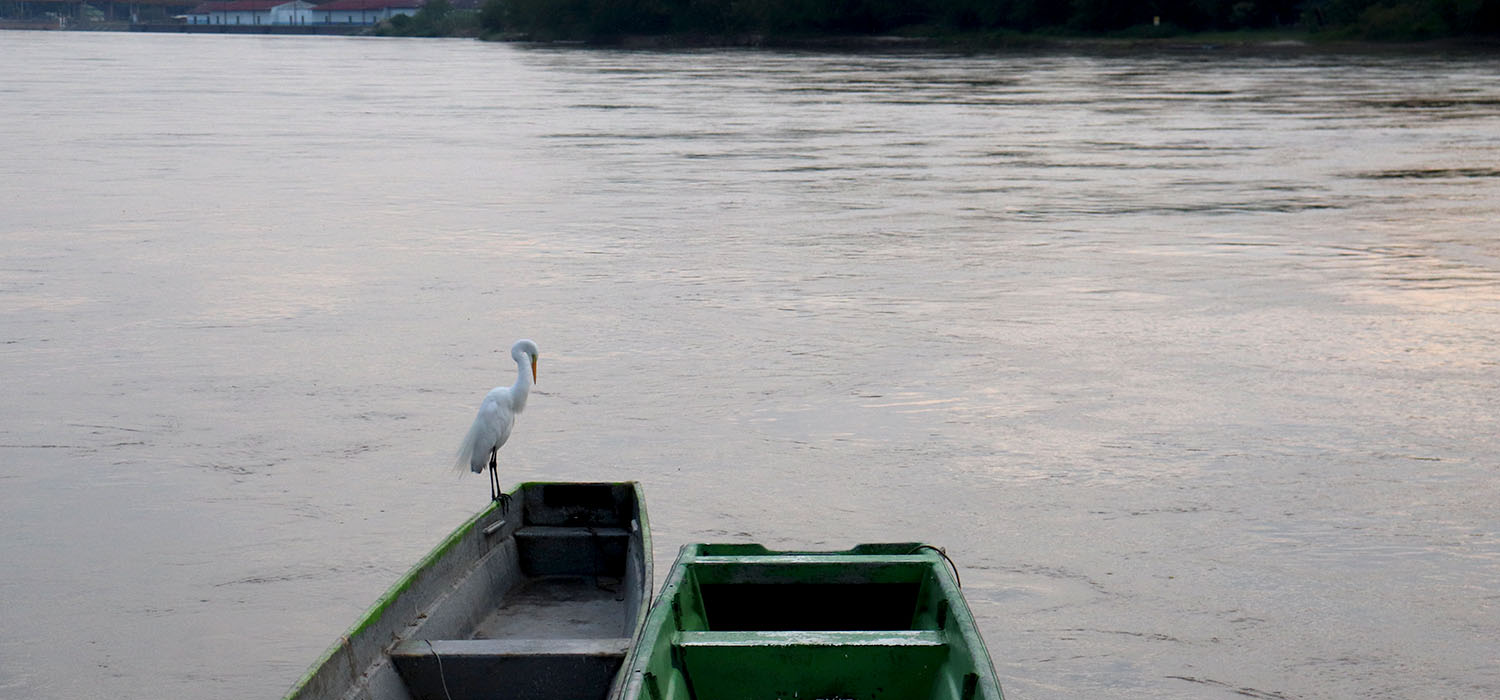 Las mujeres que le ense&ntilde;an a Colombia a persistir