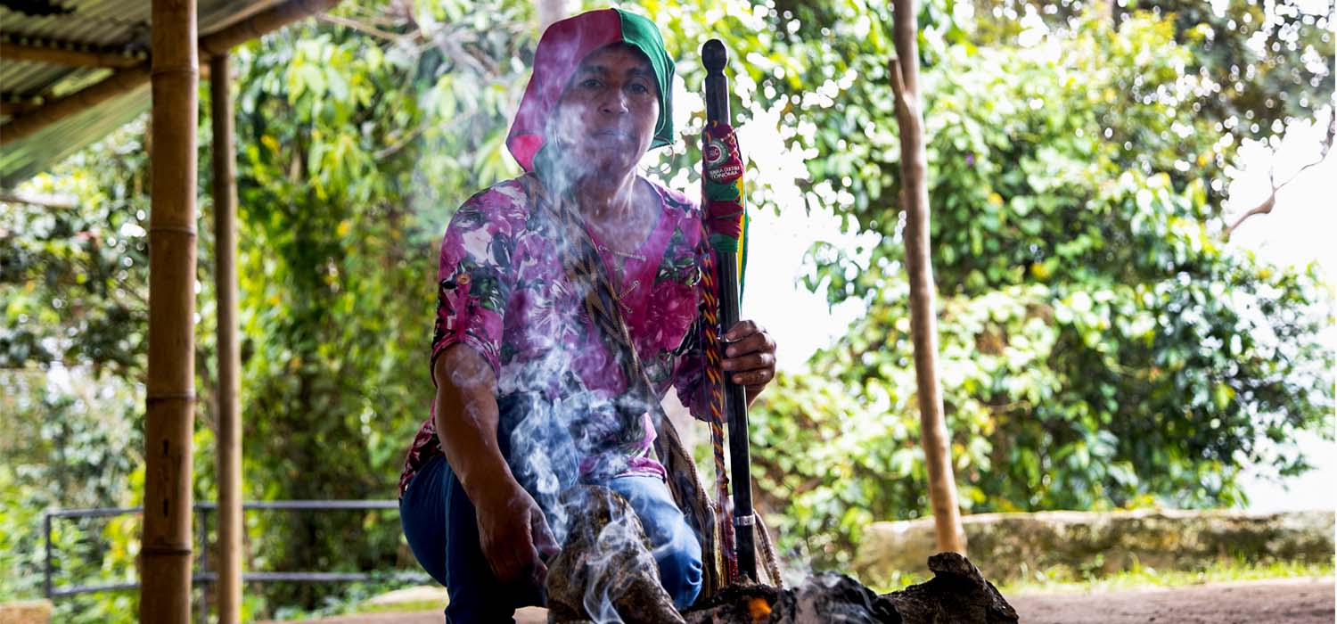 La Guardia Ind&iacute;gena, cuidadora del territorio y la vida