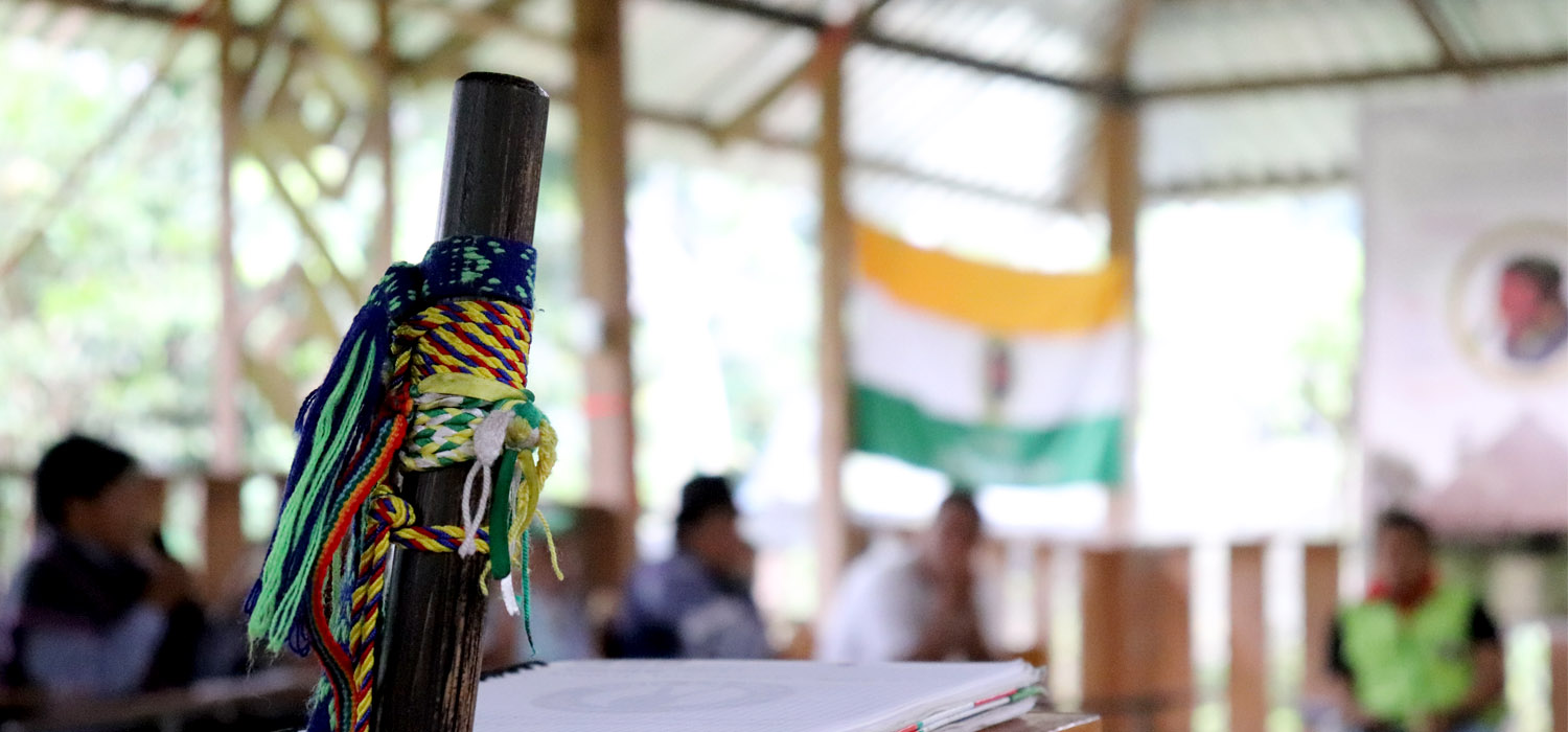 La Guardia Ind&iacute;gena, cuidadora del territorio y la vida